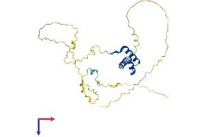 AlphaFold protein structure predicition of Human Recombinant HHEX Protein, UniprotID Q03014