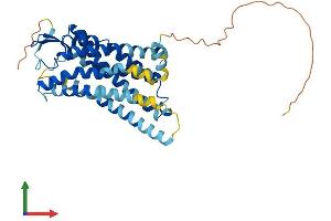 AlphaFold protein structure predicition of Mouse Recombinant Agtr1b Protein, UniprotID P29755