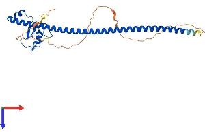 AlphaFold protein structure predicition of Mouse Recombinant Ccnb1ip1 Protein, UniprotID D3Z3K2