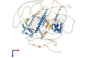 AlphaFold protein structure predicition of Mouse Recombinant Nfrkb Protein, UniprotID Q6PIJ4