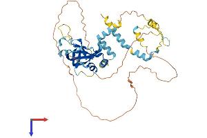 AlphaFold protein structure predicition of Mouse Recombinant Acd Protein, UniprotID Q5EE38