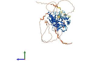 AlphaFold protein structure predicition of Human Recombinant PRICKLE3 Protein, UniprotID O43900