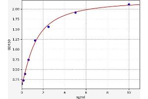 Typical standard curve (NAT8L Kit ELISA)