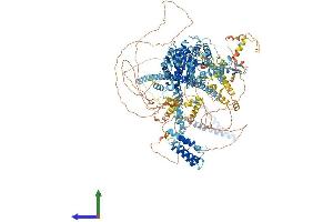 AlphaFold protein structure predicition of Mouse Recombinant Smarca4 Protein, UniprotID Q3TKT4