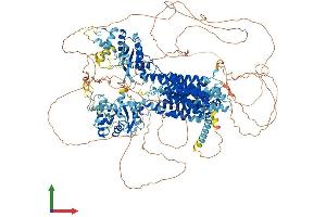 AlphaFold protein structure predicition of Human Recombinant DISP1 Protein, UniprotID Q96F81