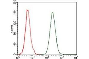 Flow Cytometry (FACS) image for anti-Chemokine (C-C Motif) Ligand 2 (CCL2) antibody (ABIN1108180)