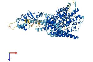 AlphaFold protein structure predicition of Mouse Recombinant Clcnka Protein, UniprotID Q9WUB7