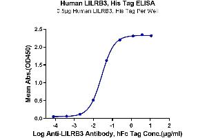 Immobilized Human LILRB3, His Tag at 5 μg/mL (100 μL/well) on the plate.