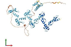 AlphaFold protein structure predicition of Human Recombinant ZNF250 Protein, UniprotID P15622