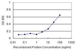 Sandwich ELISA detection sensitivity ranging from 3 ng/mL to 100 ng/mL. (TOM1 (Humain) Matched Antibody Pair)