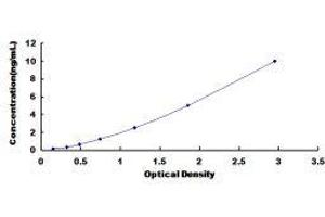 NADPH Oxidase 1 (NOX1) ELISA Kit