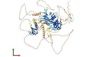 AlphaFold protein structure predicition of Mouse Recombinant Lpin1 Protein, UniprotID Q91ZP3
