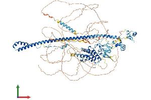 AlphaFold protein structure predicition of Mouse Recombinant Trim33 Protein, UniprotID Q99PP7