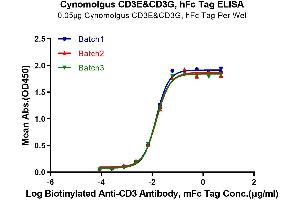 Immobilized Cynomolgus CD3E&CD3G, hFc Tag at 0.