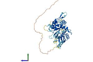 AlphaFold protein structure predicition of Human Recombinant EME2 Protein, UniprotID A4GXA9