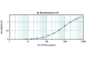 anti-Interleukin 16 (IL16) antibody (Biotin)