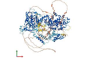 AlphaFold protein structure predicition of Human Recombinant DROSHA Protein, UniprotID Q9NRR4