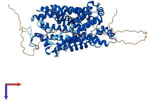 AlphaFold protein structure predicition of Mouse Recombinant Slc6a4 Protein, UniprotID Q60857