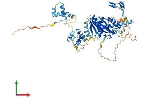 AlphaFold protein structure predicition of Human Recombinant TIGD4 Protein, UniprotID Q8IY51
