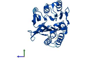 AlphaFold protein structure predicition of Human Recombinant TANGO2 Protein, UniprotID Q6ICL3