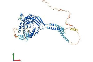 AlphaFold protein structure predicition of Mouse Recombinant Scnn1g Protein, UniprotID Q9WU39