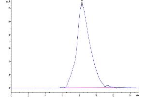 The purity of Human IL-18BP is greater than 95 % as determined by SEC-HPLC. (IL18BP Protein (AA 31-194) (His tag))