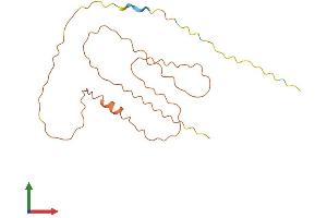 AlphaFold protein structure predicition of Human Recombinant SPATA12 Protein, UniprotID Q7Z6I5