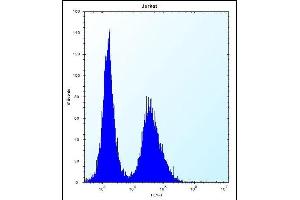 NBPF5 Antibody (C-term) (ABIN656298 and ABIN2845604) flow cytometric analysis of Jurkat cells (right histogram) compared to a negative control cell (left histogram). (NBPF5 anticorps  (C-Term))