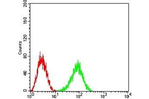 Flow cytometric analysis of HL-60 cells using CD148 mouse mAb (green) and negative control (red).
