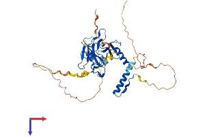 AlphaFold protein structure predicition of Human Recombinant TP53 Protein, UniprotID P04637