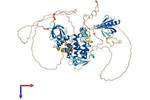 AlphaFold protein structure predicition of Human Recombinant ARHGAP9 Protein, UniprotID Q9BRR9