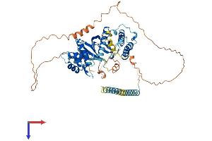 AlphaFold protein structure predicition of Human Recombinant RIOK2 Protein, UniprotID Q9BVS4