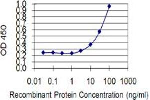 Detection limit for recombinant GST tagged GRPEL1 is 1 ng/ml as a capture antibody. (GRPEL1 anticorps  (AA 118-217))