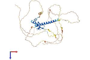 AlphaFold protein structure predicition of Mouse Recombinant Dmrta1 Protein, UniprotID Q8CFG4