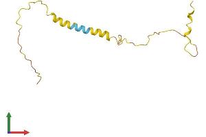 AlphaFold protein structure predicition of Human Recombinant LMO7DN Protein, UniprotID F2Z398