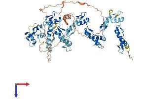 AlphaFold protein structure predicition of Human Recombinant ZNF169 Protein, UniprotID Q14929