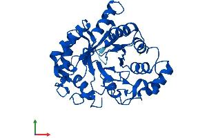 AlphaFold protein structure predicition of Mouse Recombinant Akr1d1 Protein, UniprotID Q8VCX1