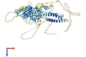 AlphaFold protein structure predicition of Mouse Recombinant Rnf112 Protein, UniprotID Q96DY5