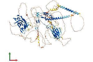 AlphaFold protein structure predicition of Mouse Recombinant Myrf Protein, UniprotID Q3UR85