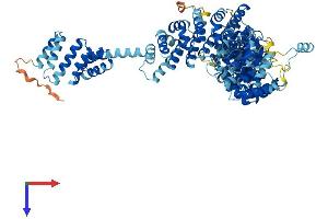 AlphaFold protein structure predicition of Human Recombinant UNC45A Protein, UniprotID Q9H3U1