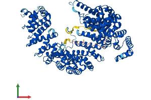 AlphaFold protein structure predicition of Mouse Recombinant Tnpo2 Protein, UniprotID Q99LG2