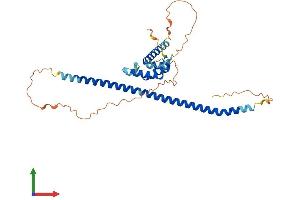 AlphaFold protein structure predicition of Mouse Recombinant Naif1 Protein, UniprotID Q6PFD7
