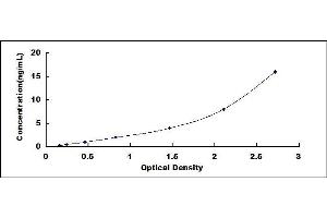 Coagulation Factor X (F10) ELISA Kit