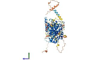 AlphaFold protein structure predicition of Human Recombinant MTMR11 Protein, UniprotID A4FU01
