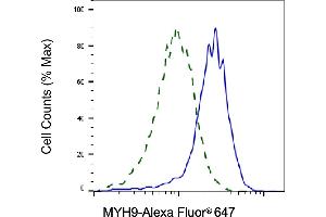 Validation of MYH9 knockdown using flow cytometry. (Myosin 9 anticorps)