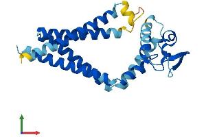 AlphaFold protein structure predicition of Mouse Recombinant Tspan8 Protein, UniprotID Q8R3G9