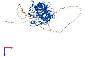 AlphaFold protein structure predicition of Mouse Recombinant Csnk1g1 Protein, UniprotID Q8BTH8