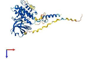 AlphaFold protein structure predicition of Human Recombinant MAPKAPK2 Protein, UniprotID P49137