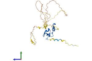 AlphaFold protein structure predicition of Human Recombinant NANOS1 Protein, UniprotID Q8WY41