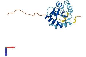 AlphaFold protein structure predicition of Human Recombinant NHP2 Protein, UniprotID Q9NX24